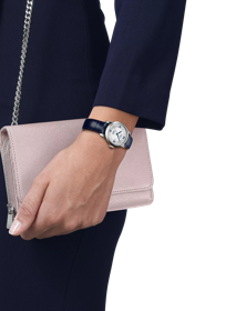Simulation of the watch Tissot Le Locle Automatic 20th Anniversary 29mm on a wrist