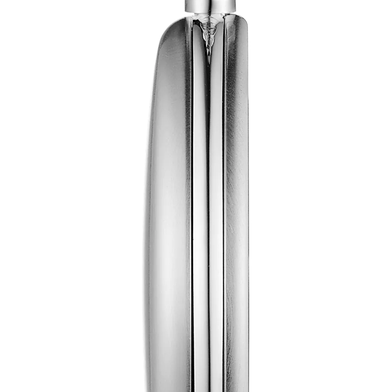 Profile view of the watch case Tissot Savonnette