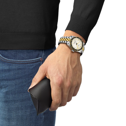 Simulation of the watch Tissot PR516 Powermatic 80 on a wrist