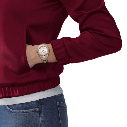 Simulation of the watch Tissot PR 100 Sport Chic on a wrist
